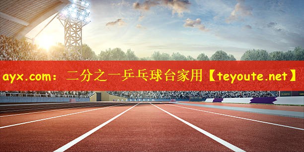 ayx.com：二分之一乒乓球台家用