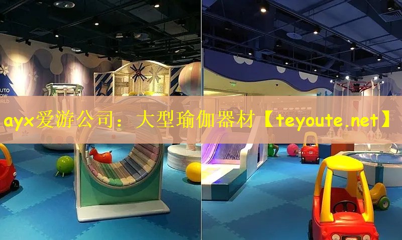 ayx爱游公司：大型瑜伽器材