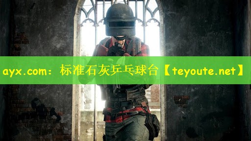 ayx.com：标准石灰乒乓球台