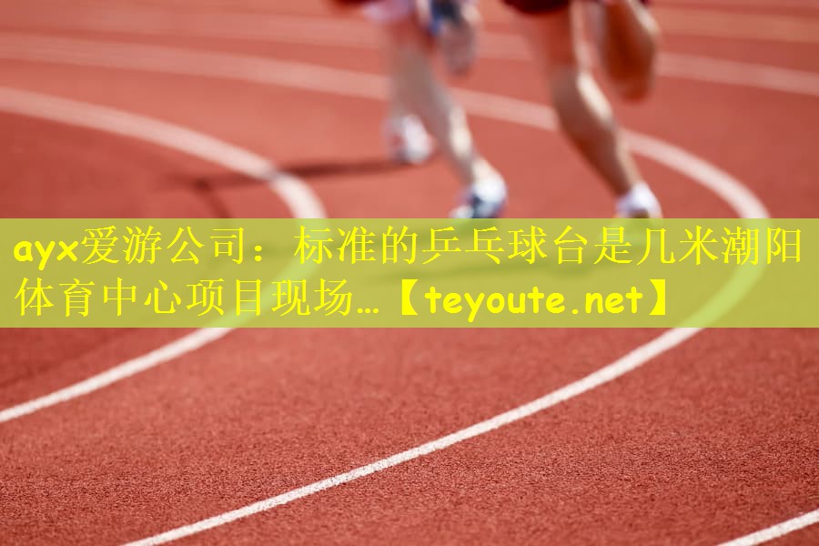 ayx爱游公司：标准的乒乓球台是几米潮阳体育中心项目现场…