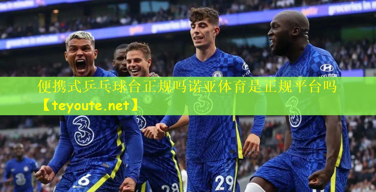便携式乒乓球台正规吗诺亚体育是正规平台吗