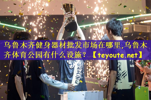 乌鲁木齐健身器材批发市场在哪里,乌鲁木齐体育公园有什么设施？