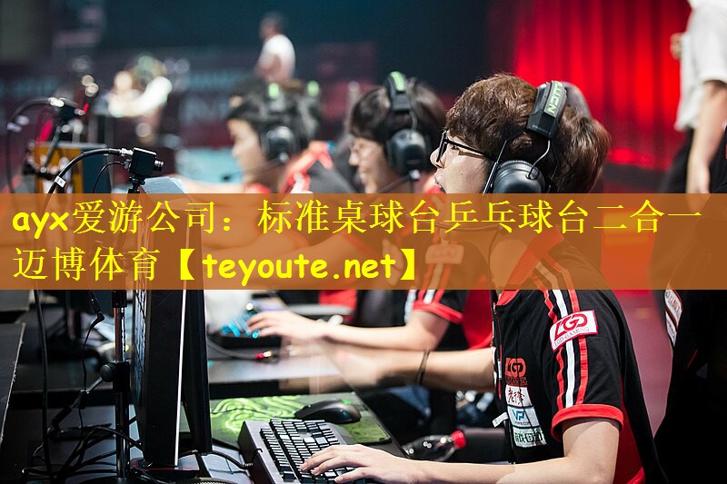 ayx爱游公司：标准桌球台乒乓球台二合一迈博体育