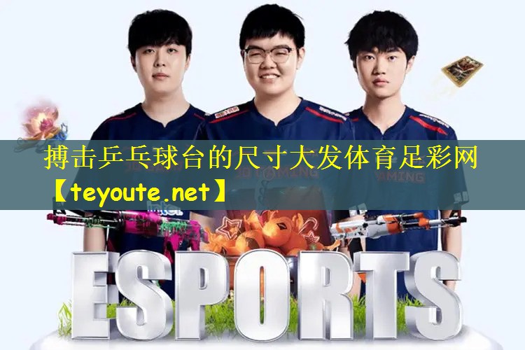搏击乒乓球台的尺寸大发体育足彩网