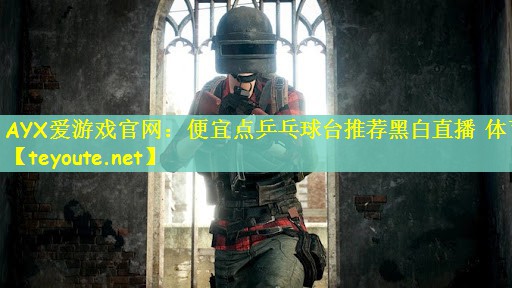 AYX爱游戏官网：便宜点乒乓球台推荐黑白直播 体育