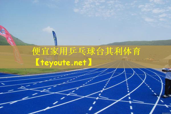 便宜家用乒乓球台其利体育