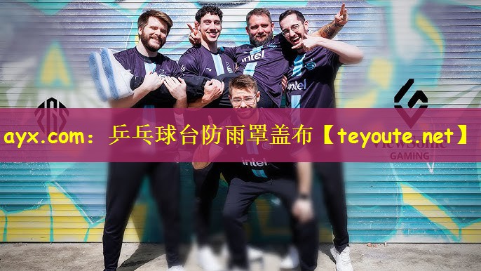 ayx.com：乒乓球台防雨罩盖布