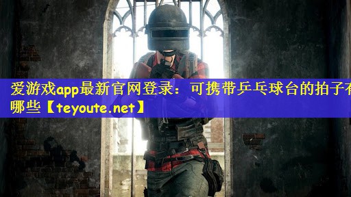 爱游戏app最新官网登录：可携带乒乓球台的拍子有哪些