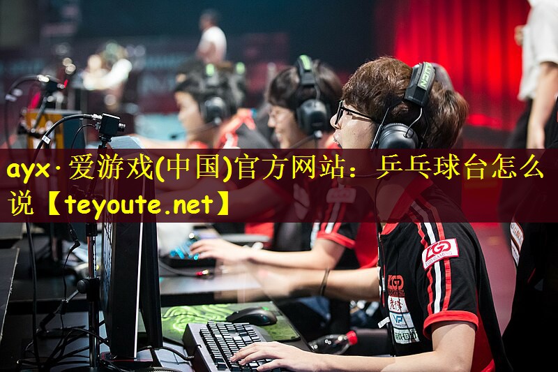 乒乓球台怎么说