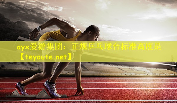 正规乒乓球台标准高度是