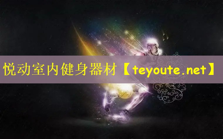 悦动室内健身器材